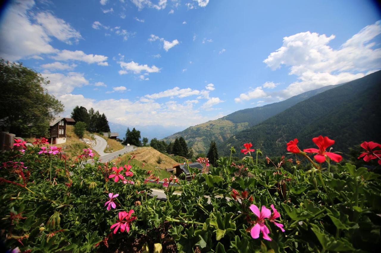 Bed and Breakfast Bleusydyllique Nendaz Exterior foto
